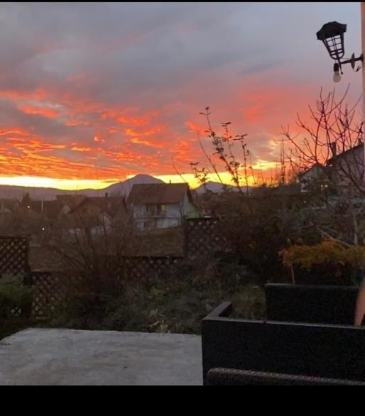 Mala Oaza Appartement Čačak Buitenkant foto